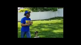 My daughter and dog are happy that the Golden State Warriors won