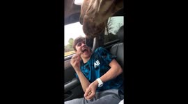 day 8. the moment we both realized we were in love, at this zoo trip?? https://t.co/cQbi57fUKw