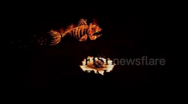 PredatorTour Sweden 2018 NEW VIEW  ALL BOATS AlumaCraft Fastes start Ever, need to look,