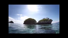 Island hopping snorkeling style with a sea snake surprise..