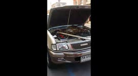 Massive python pulled out of car engine