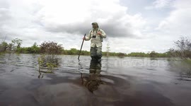 Flooded, Flowering Prairie