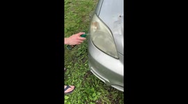 Make your headlights look like new with this household item