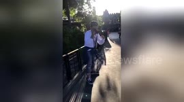 Newsflare Edit - friend: hey can you take a pic...?me: https://t.co/n8ezlX1iTO