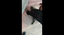 Awesome Big Fish Catching in kerala INCREDIBLE