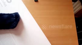 Oculus rift bundle Unboxing Sale