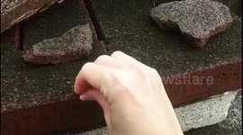 US tour guide shows house blanketed in ash after Guatemala eruption