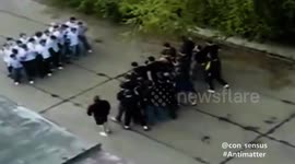 Rapper Compares Gang Culture to Particle Physics in New Music Video Antimatter