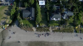 Palm beach Waiheke Island Drone