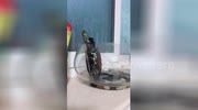 temp