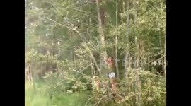 Worlds worst attempt of saving a cat in a tree!