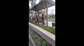 Women arguing in Hong Kong public park over barking dogs