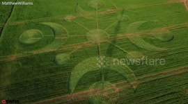 Mysterious travellers visited the English countryside and left behind the biggest crop circle of the year