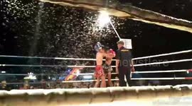 Boxing match called off after invasion of giant moths