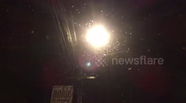 Large swarms of moths seen on the road