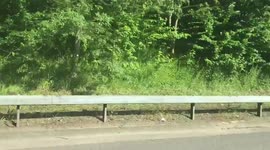 Crash aftermath on M11