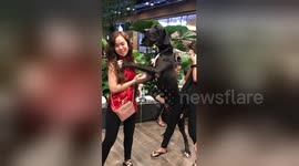 Clingy Great Dane gets a little too friendly with Thai woman