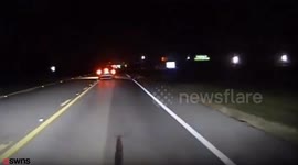 Dashcam reveals moment police discover an 