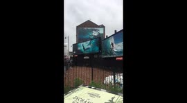 Ocean trash sculpture in London