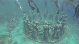 Snorkeling in Indonesia