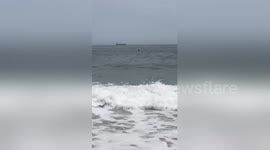 Newsflare Edit - Video of the “sharks” if anyone is interested https://t.co/Y7YnseQx4q