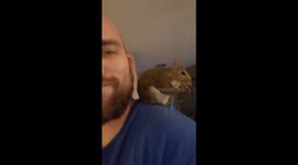 Squirrel loves to relax with us