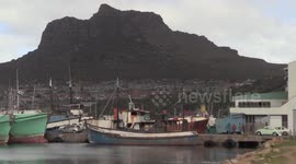 Fishing Harbour - Cape Town