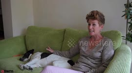 Woman claims she is the real life Dr Dolittle after 'curing' animal stress.