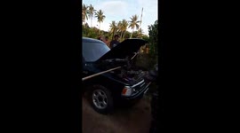 Cobra caught inside car engine