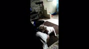 temp