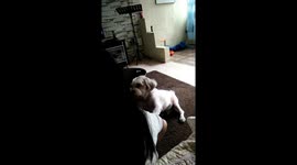 Hey! Share your food with me mama.