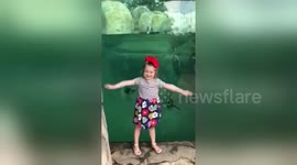 Newsflare Edit - Penguin Language