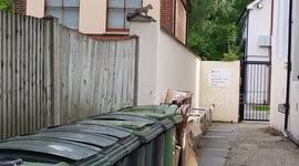 Cheeky Pair Of Squirrels