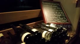 cat locked in the shop window at night