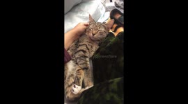 The song says it all