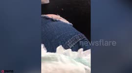 Mum horrified after finding sharp object inside Asda nappy