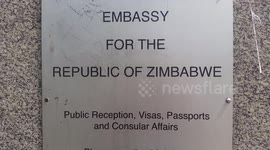 Baby elephants trade