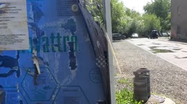 Saving Private Pigeon