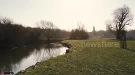 Watching Sir David Attenborough's nature programmes could boost your love life