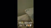 temp