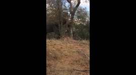 No Bulldozers Required!