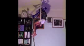 Trombone on the Trapeze