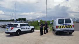 Dead body found on Davis Island Tampa