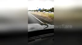 Woman panics as SNAKE emerges from hood of moving car on Brisbane highway