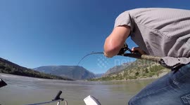 Catch, tag & release  GIANT STURGEON on Frasier River, BC, For Casey Neistat!!!