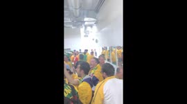 Australian fans go wild in stadium toilets after Denmark draw