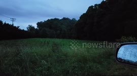 Lightning Bug Season