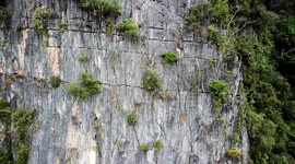Drone of video of Limestone Cliffs in Vang Vieng, Laos