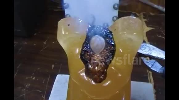 RHNB-World's Largest Gummy Bear