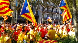 La Diada 2014